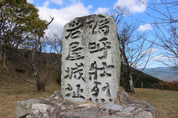 立花宗茂 島津軍を痛撃