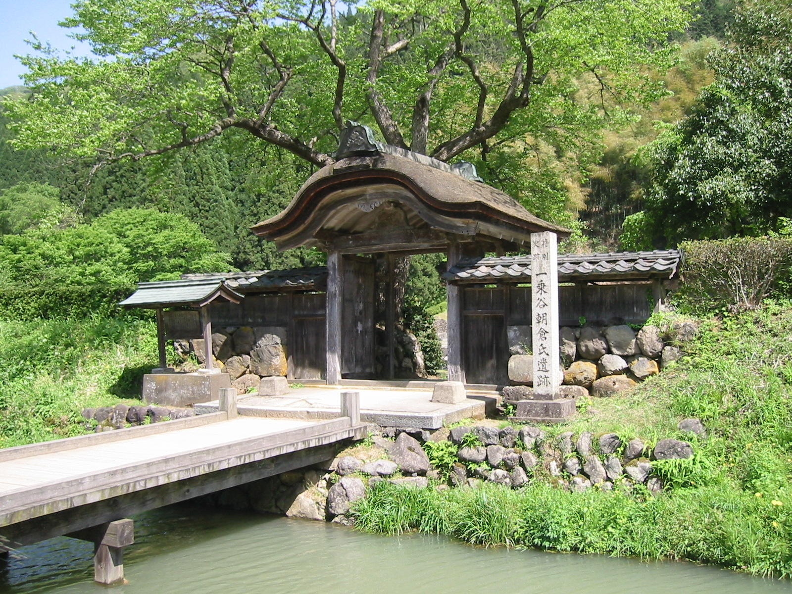 朝倉宗滴,朝倉義景の栄華の跡 越前一乗谷