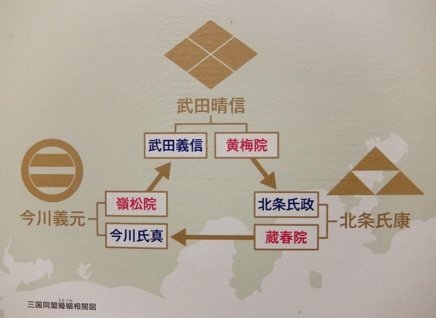 北条氏綱の東駿河侵攻を経て甲相駿同盟へ