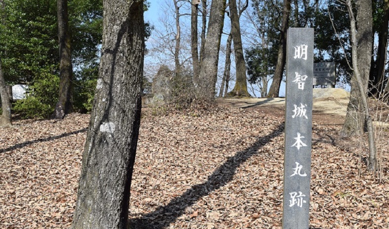 明智光秀の来歴～斎藤道三,織田信長との関係