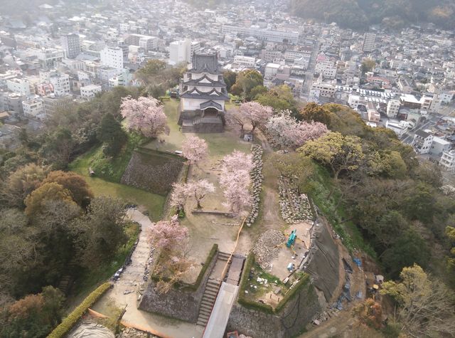 伊達家では親子喧嘩が絶えず