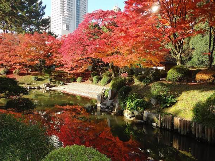 秋の安芸 毛利,高杉,紅葉谷１