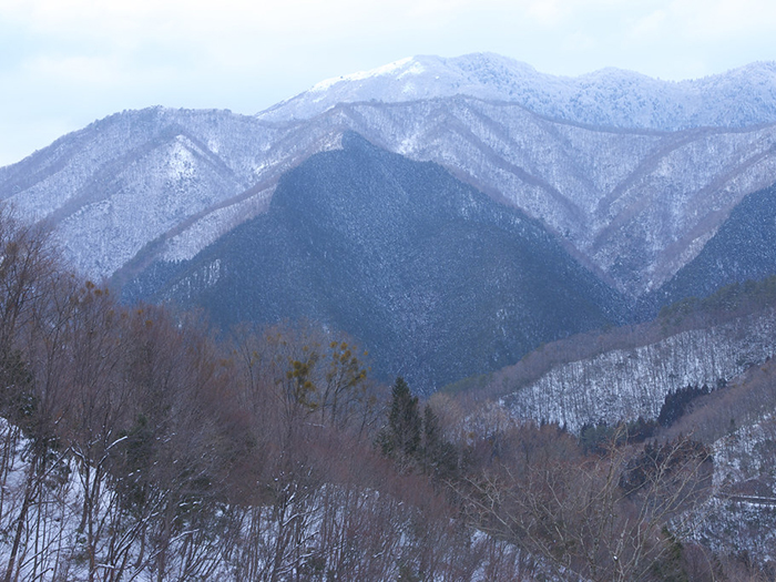 河豚に維新 今年も冬の長州へ５