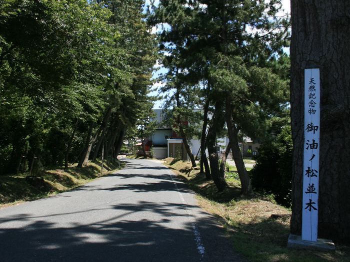 徳川の雄飛を辿る駿遠三２