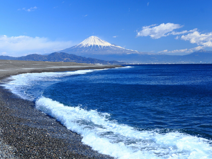 徳川の雄飛を辿る駿遠三４