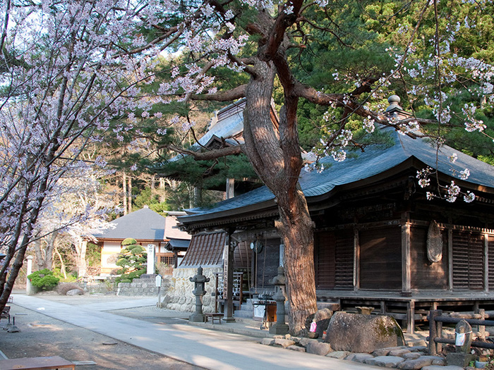 春連休 桜と共に東北へ４