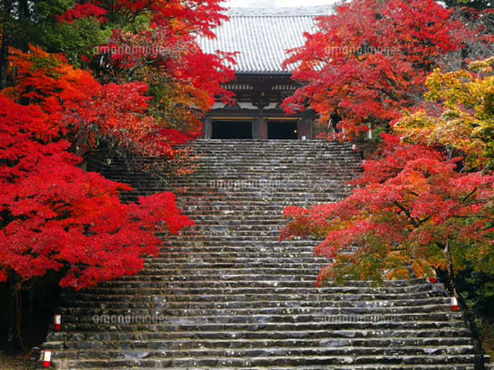 腰据えて順路外れの社寺巡り２