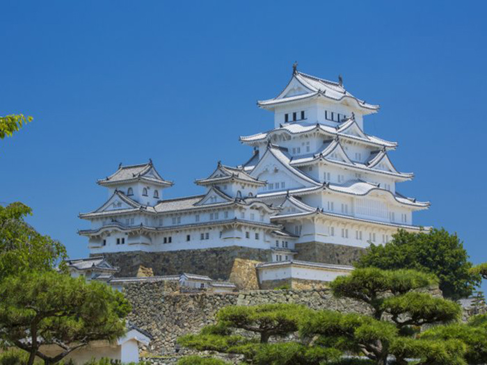 久々に ノリが苦手な阪神へ４