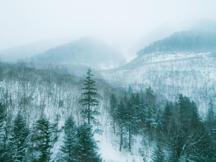 温暖化 雪を求めて山陰へ２